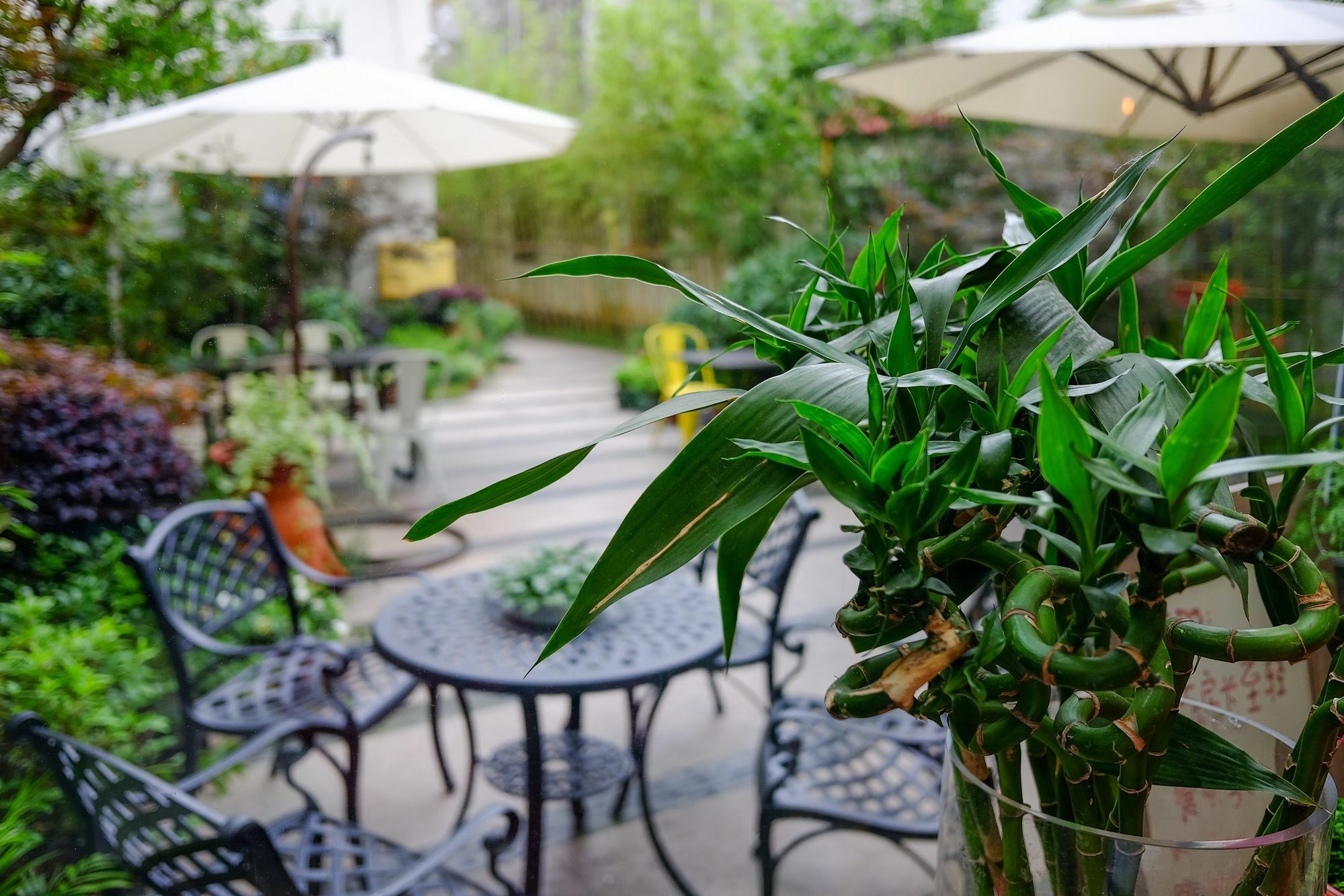Suzhou Homa Garden Hotel Екстериор снимка